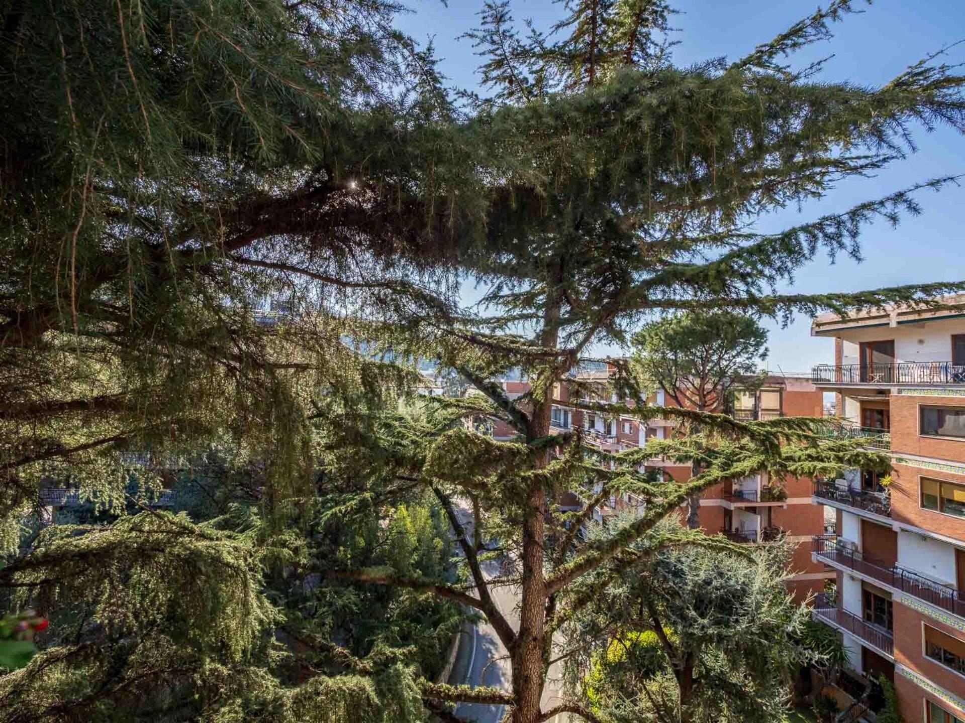 Pine House Sorrento公寓 外观 照片